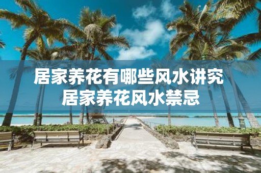 居家养花有哪些风水讲究 居家养花风水禁忌