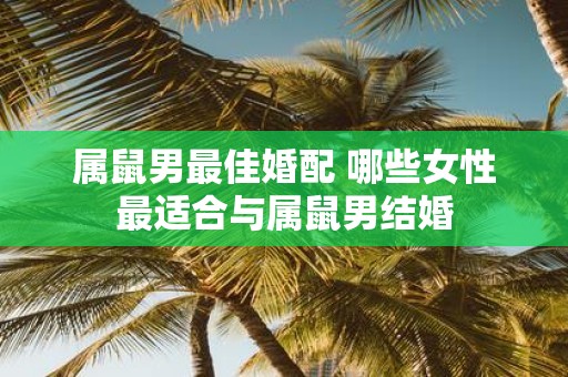 属鼠男最佳婚配 哪些女性最适合与属鼠男结婚