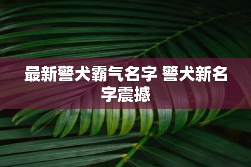 最新警犬霸气名字 警犬新名字震撼