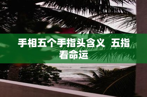 手相五个手指头含义 五指看命运