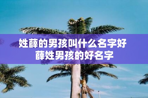 姓薛的男孩叫什么名字好 薛姓男孩的好名字