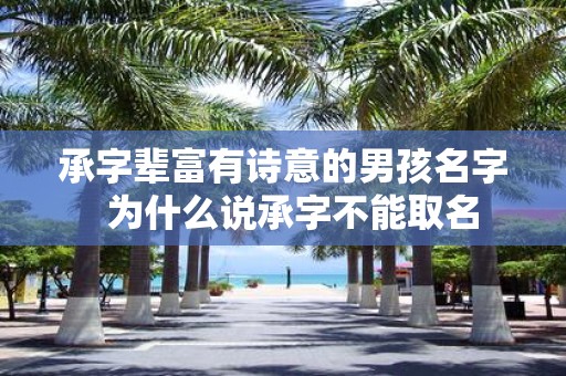 承字辈富有诗意的男孩名字 为什么说承字不能取名