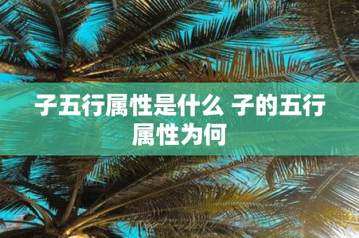 子五行属性是什么 子的五行属性为何