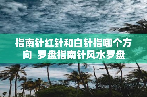指南针红针和白针指哪个方向 罗盘指南针风水罗盘