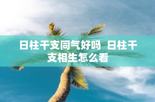 日柱干支同气好吗 日柱干支相生怎么看