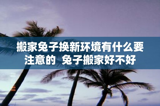 搬家兔子换新环境有什么要注意的 兔子搬家好不好