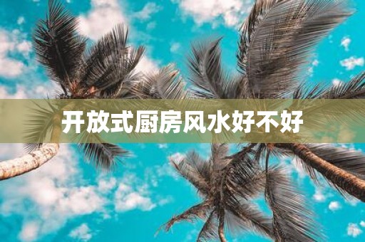 开放式厨房风水好不好