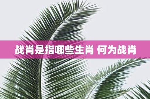 战肖是指哪些生肖 何为战肖