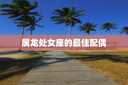属龙处女座的最佳配偶