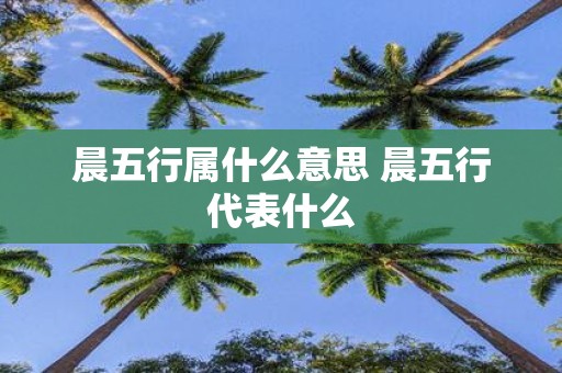 晨五行属什么意思 晨五行代表什么