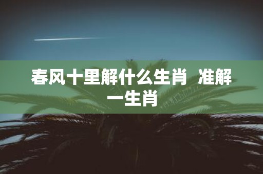 春风十里解什么生肖 准解一生肖