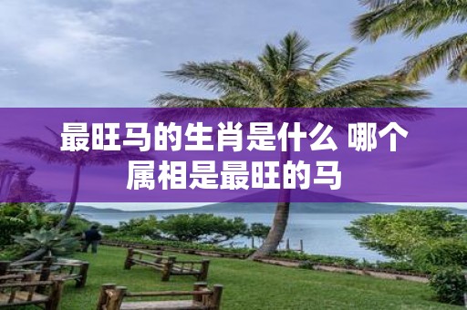 最旺马的生肖是什么 哪个属相是最旺的马
