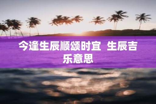 今逢生辰顺颂时宜 生辰吉乐意思
