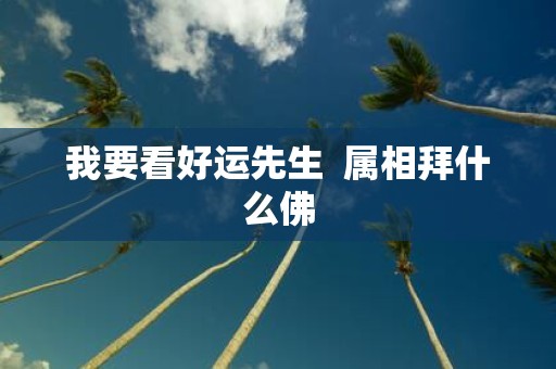 我要看好运先生 属相拜什么佛