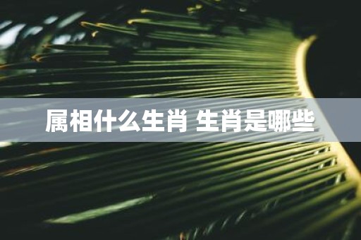 属相什么生肖 生肖是哪些