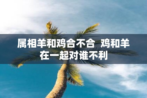 属相羊和鸡合不合 鸡和羊在一起对谁不利