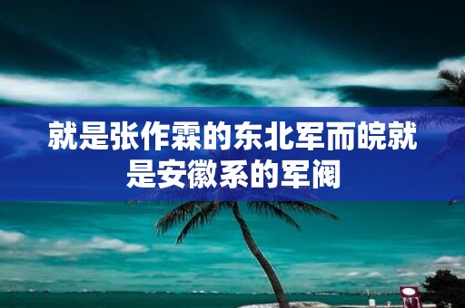 就是张作霖的东北军而皖就是安徽系的军阀