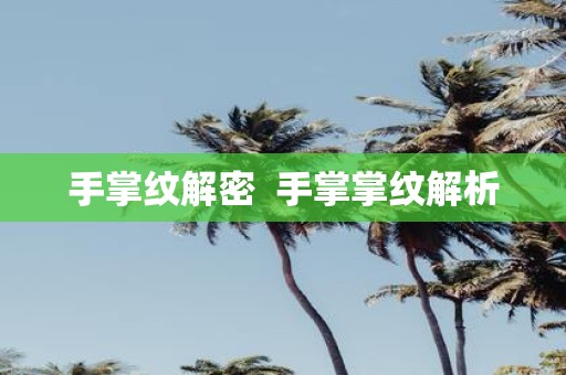 手掌纹解密 手掌掌纹解析