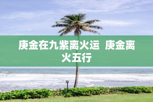 庚金在九紫离火运 庚金离火五行
