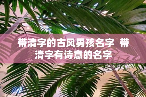 带清字的古风男孩名字 带清字有诗意的名字