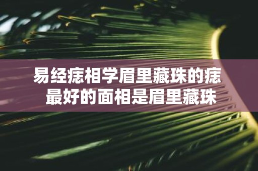 易经痣相学眉里藏珠的痣 最好的面相是眉里藏珠