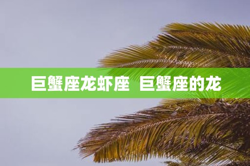 巨蟹座龙虾座 巨蟹座的龙