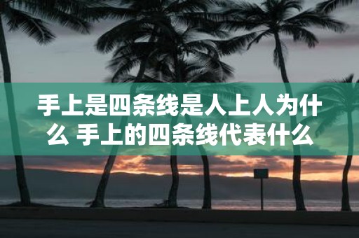 手上是四条线是人上人为什么 手上的四条线代表什么意思