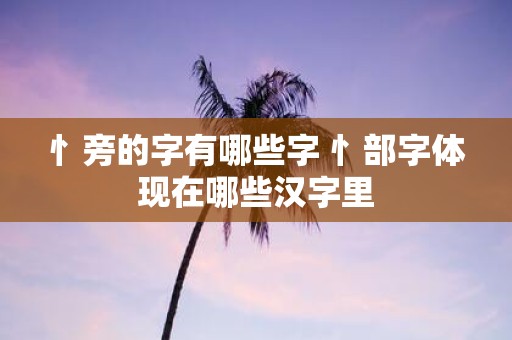 忄旁的字有哪些字 忄部字体现在哪些汉字里