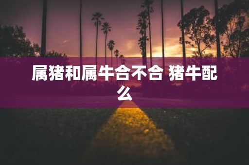 属猪和属牛合不合 猪牛配么
