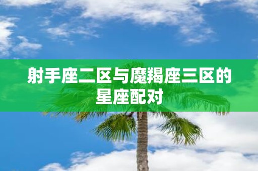 射手座二区与魔羯座三区的星座配对