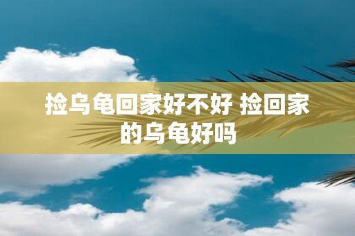 捡乌龟回家好不好 捡回家的乌龟好吗