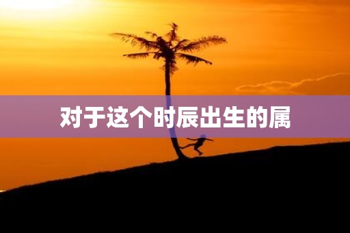 对于这个时辰出生的属