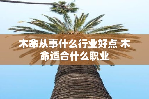 木命从事什么行业好点 木命适合什么职业