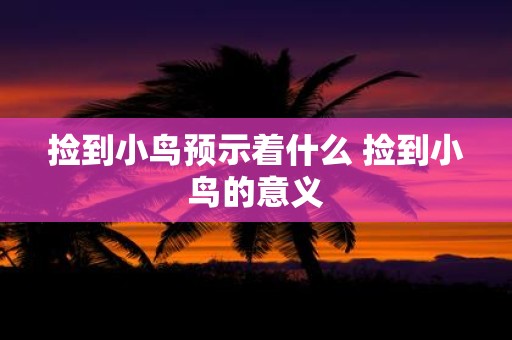 捡到小鸟预示着什么 捡到小鸟的意义