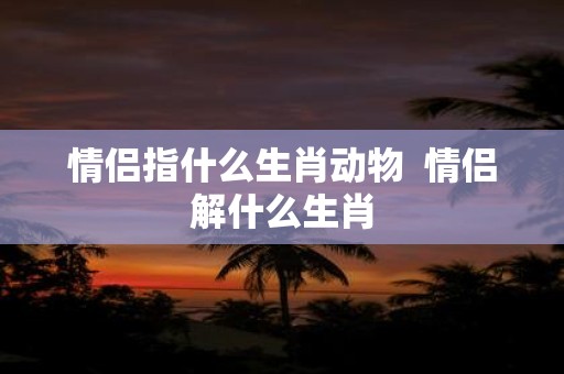 情侣指什么生肖动物 情侣解什么生肖
