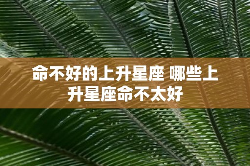 命不好的上升星座 哪些上升星座命不太好