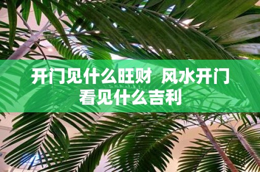 开门见什么旺财 风水开门看见什么吉利