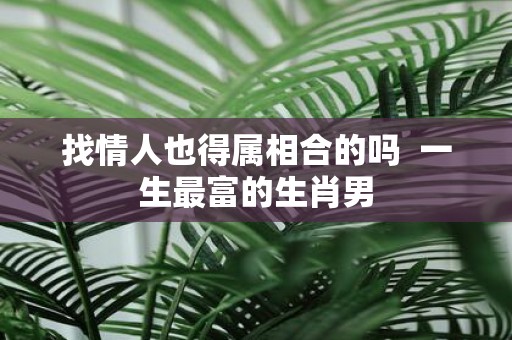 找情人也得属相合的吗 一生最富的生肖男