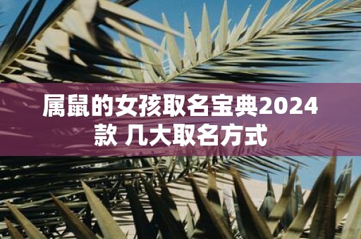 属鼠的女孩取名宝典2025款 几大取名方式