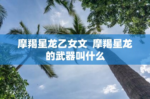 摩羯星龙乙女文 摩羯星龙的武器叫什么