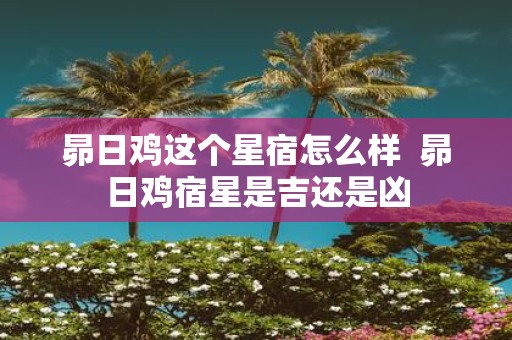 昴日鸡这个星宿怎么样 昴日鸡宿星是吉还是凶