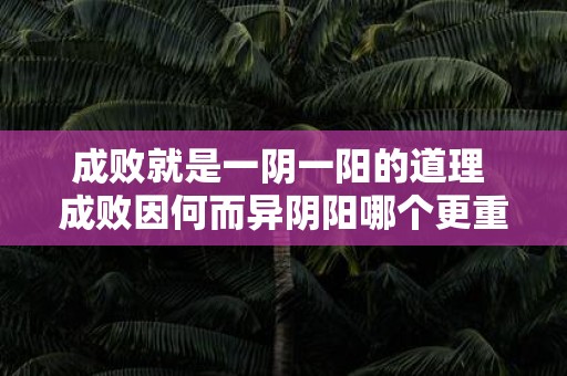成败就是一阴一阳的道理 成败因何而异阴阳哪个更重要