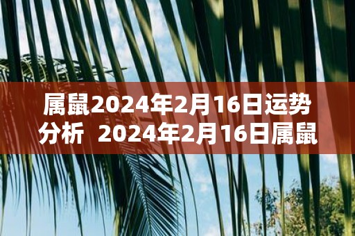 属鼠2025年2月16日运势分析 2025年2月16日属鼠今日运势