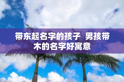 带东起名字的孩子 男孩带木的名字好寓意