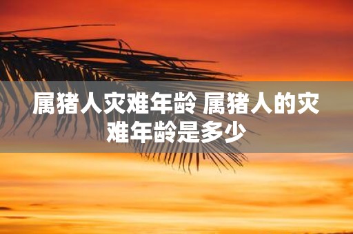 属猪人灾难年龄 属猪人的灾难年龄是多少