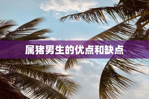 属猪男生的优点和缺点