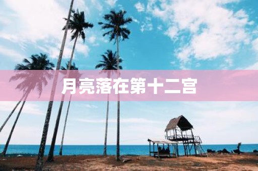 月亮落在第十二宫