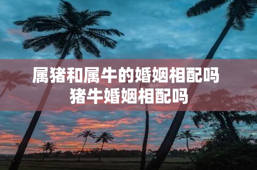 属猪和属牛的婚姻相配吗 猪牛婚姻相配吗