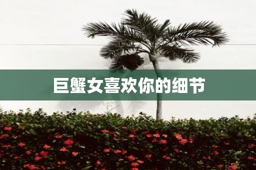 巨蟹女喜欢你的细节