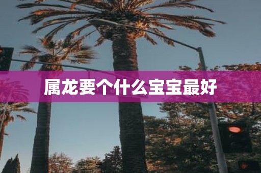 属龙要个什么宝宝最好